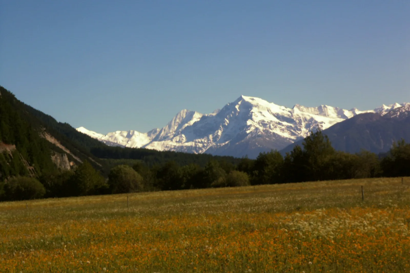 The Ortler above the Vinschgau valley